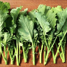Spring Raab, Broccoli Seeds